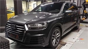 Audi Q7 3.0 TDI CR (211 л.с.) morendi-3134