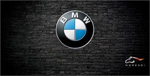BMW Series 5 E6x 535d (272 л.с.) morendi-2661