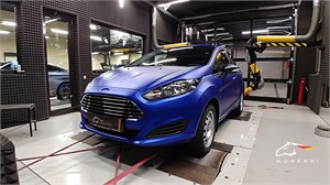 Ford Fiesta Mk7 1.0i Ecoboost (80 л.с.) morendi-6688