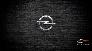 Opel Signum 1.9 CDTI (100 л.с.) morendi-4809