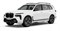 BMW X7 G07 xDrive m60i BMW X7 LCI m60i - фото 20630